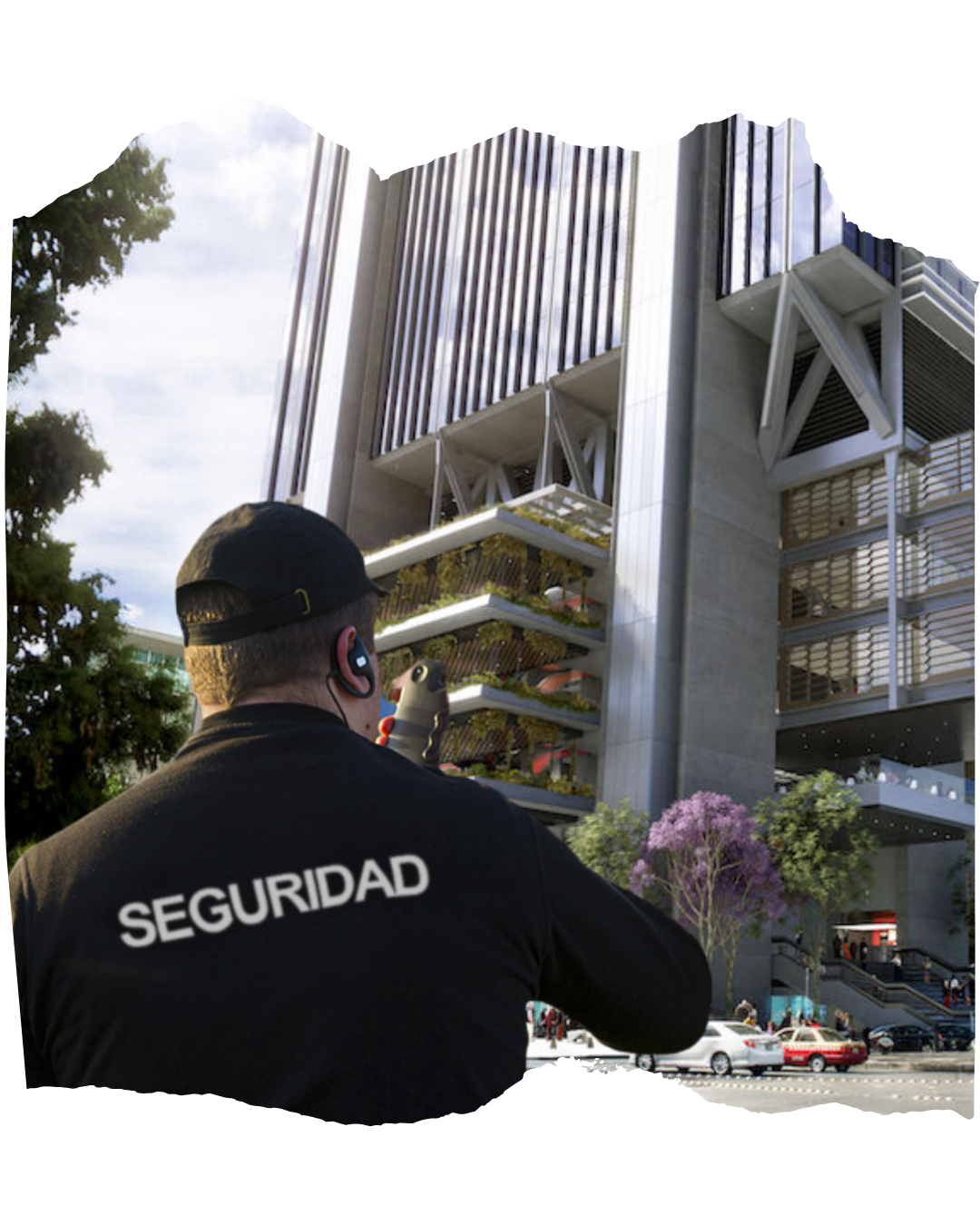 Seguridad GMI